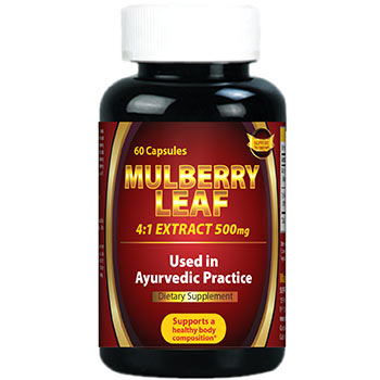 Mulberry Leaf 4:1 Extract 500 mg